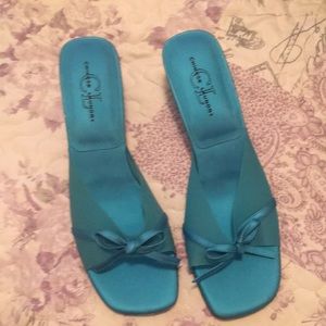 Chinese laundry slip ins  the top has plastic feel